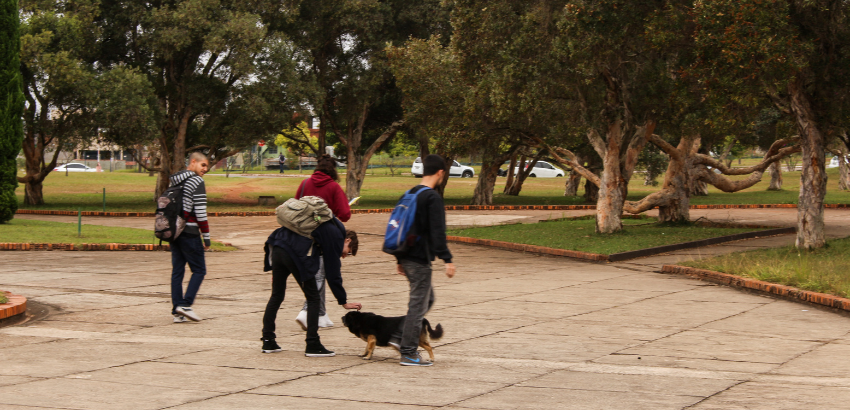 Estudantes brincam com cachorro no Campus Morro do Cruzeiro.