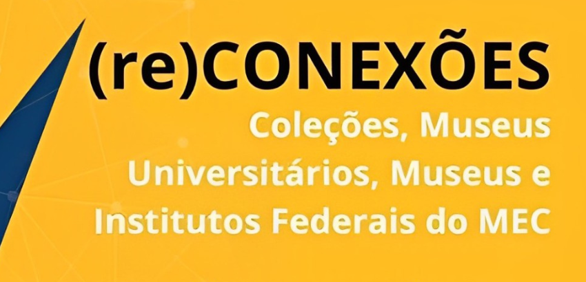 Banner de divulgação Programa (re)Conexões